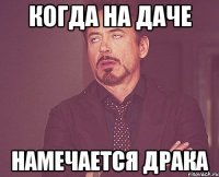 когда на даче намечается драка