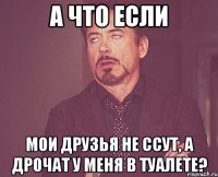 а что если мои друзья не ссут, а дрочат у меня в туалете?