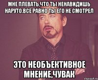 мне плевать,что ты ненавидишь наруто.все равно ты его не смотрел это необъективное мнение,чувак