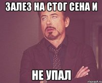 залез на стог сена и не упал