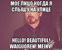 мое лицо когда я слышу на улице hello! beautiful! waiguoren! meinv!