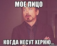 мое лицо когда несут херню...