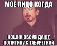 моё лицо когда кошки обсуждают политику с табуреткой