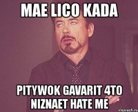 mae lico kada pitywok gavarit 4to niznaet hate me