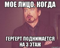 мое лицо, когда гергерт поднимается на 3 этаж