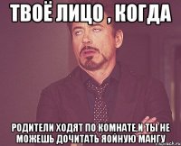 твоё лицо , когда родители ходят по комнате,и ты не можешь дочитать яойную мангу