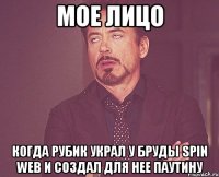 мое лицо когда рубик украл у бруды spin web и создал для нее паутину