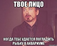 твое лицо когда тебе удается погладить рыбку в аквариуме