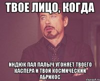 твое лицо, когда индюк пал палыч угоняет твоего каспера и твой космический абрикос