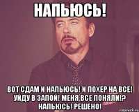 напьюсь! вот сдам и напьюсь! и похер на все! уйду в запой! меня все поняли!? напьюсь! решено!