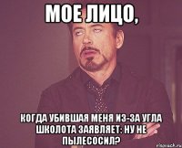 мое лицо, когда убившая меня из-за угла школота заявляет: ну не пылесосил?