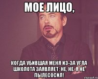 мое лицо, когда убившая меня из-за угла школота заявляет: не, не. я не пылесосил!