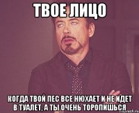 твое лицо когда твой пес все нюхает и не идет в туалет, а ты очень торопишься