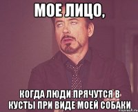 мое лицо, когда люди прячутся в кусты при виде моей собаки