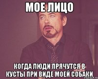 мое лицо когда люди прячутся в кусты при виде моей собаки