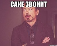 саке звонит 