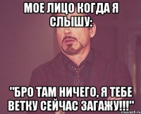 мое лицо когда я слышу: "бро там ничего, я тебе ветку сейчас загажу!!!"