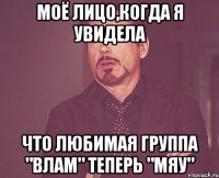 моё лицо,когда я увидела что любимая группа "влам" теперь "мяу"