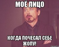 моё лицо когда почесал себе жопу!