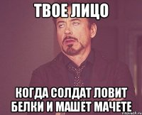 твое лицо когда солдат ловит белки и машет мачете