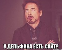  у дельфина есть сайт?