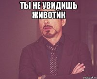 ты не увидишь животик 