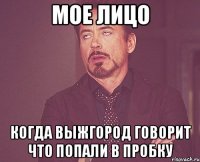 мое лицо когда выжгород говорит что попали в пробку