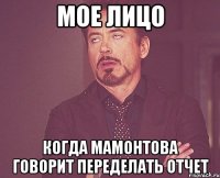 мое лицо когда мамонтова говорит переделать отчет