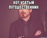 кот усатый путешественник ,