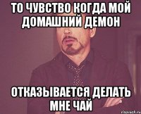 то чувство когда мой домашний демон отказывается делать мне чай