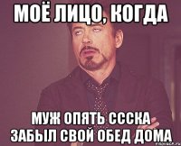 моё лицо, когда муж опять ссска забыл свой обед дома