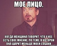 мое лицо, когда женщина говорит, что у нее есть свое мнение, по теме, в которой она шарит меньше моей собаки