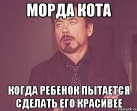 морда кота когда ребенок пытается сделать его красивее