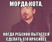 морда кота, когда ребенок пытается сделать его красивее