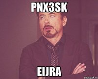 pnx3sk eijra