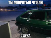 ты упоротый что ли сцука