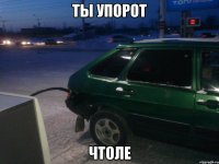 ты упорот чтоле