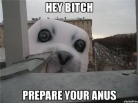 hey bitch prepare your anus