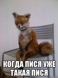  когда пися уже такая пися