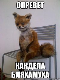 опревет какдела бляхамуха