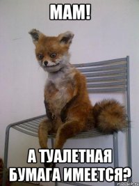 мам! а туалетная бумага имеется?