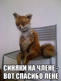  синяки на члене - вот спасибо лене