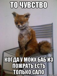 то чувство когда у моих баб из пожрать есть только сало