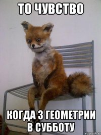 то чувство когда 3 геометрии в субботу