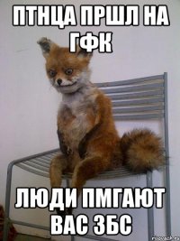 птнца пршл на гфк люди пмгают вас збс