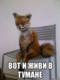  вот и живи в тумане