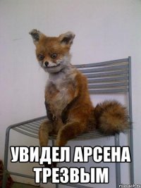  увидел арсена трезвым