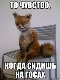 то чувство, когда сидишь на госах