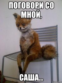 поговори со мной, саша...