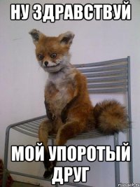 ну здравствуй мой упоротый друг
